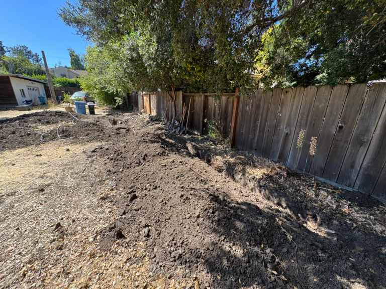 Tree root exposure trench on a project site in Palo Alto, CA