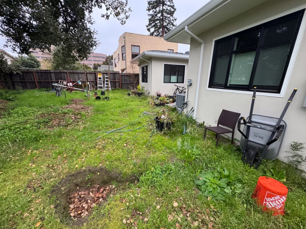 Overgrown backyard with downspouts draining onto the foundation
